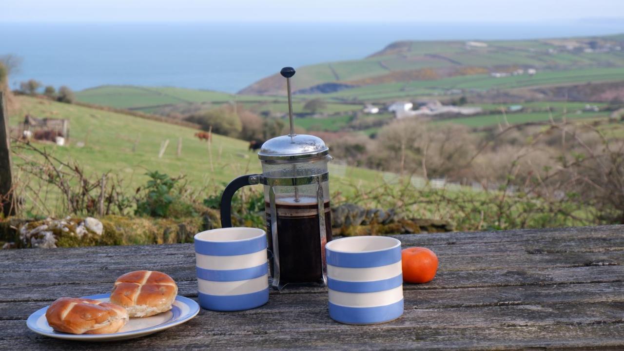 Polrunny Farm Elderberry Cottage With Sea View Boscastle Dış mekan fotoğraf