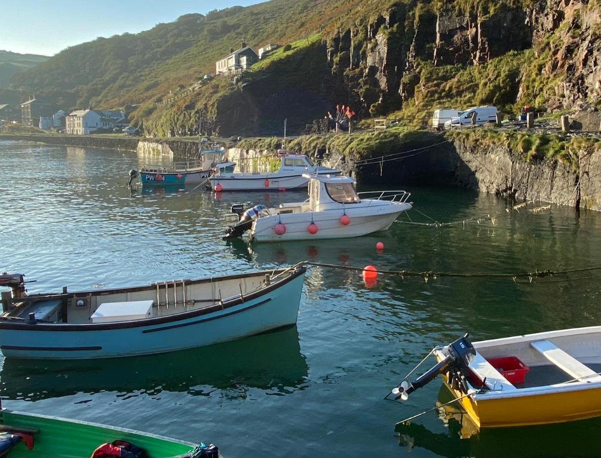 Polrunny Farm Elderberry Cottage With Sea View Boscastle Dış mekan fotoğraf