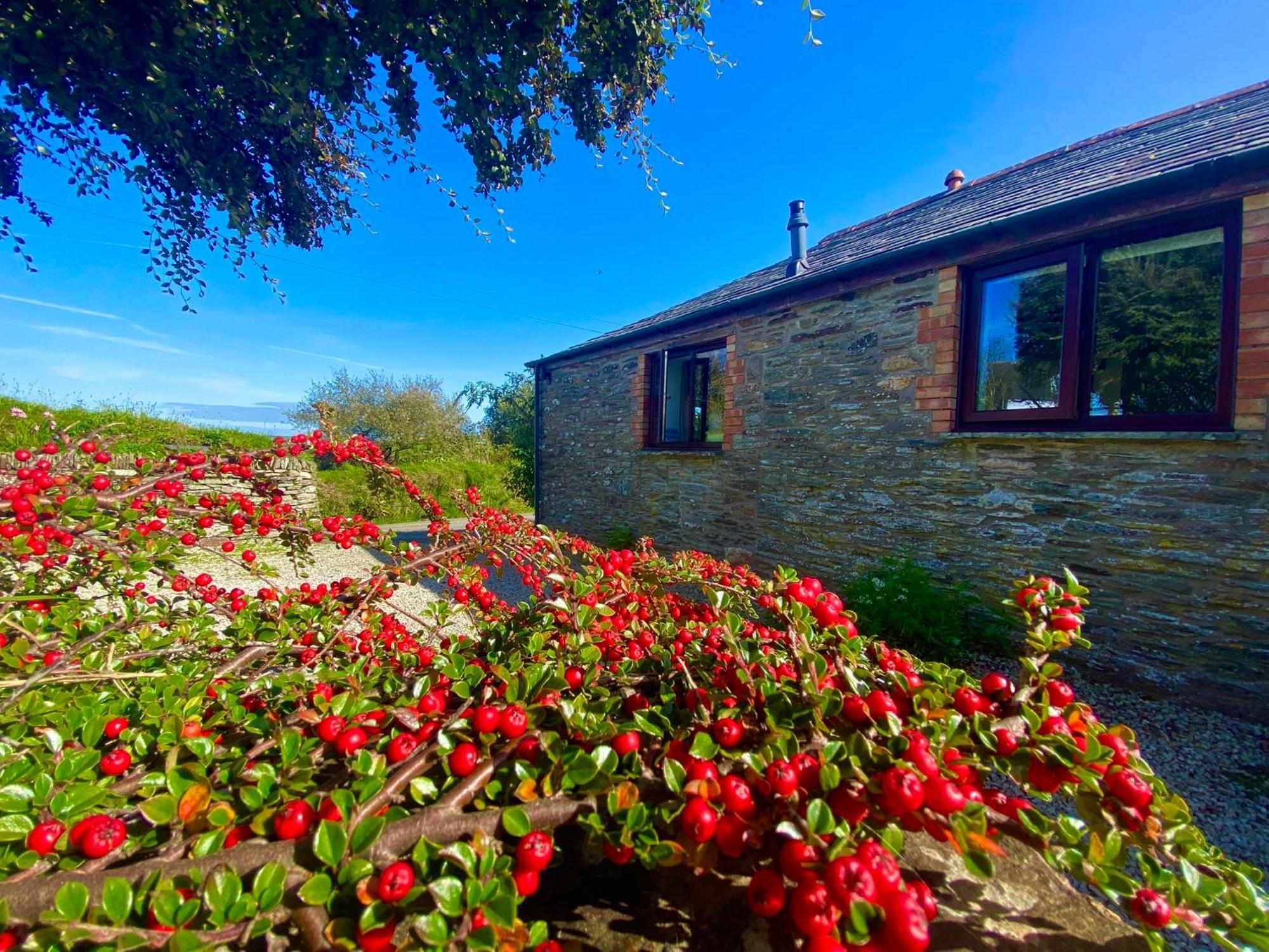 Polrunny Farm Elderberry Cottage With Sea View Boscastle Dış mekan fotoğraf