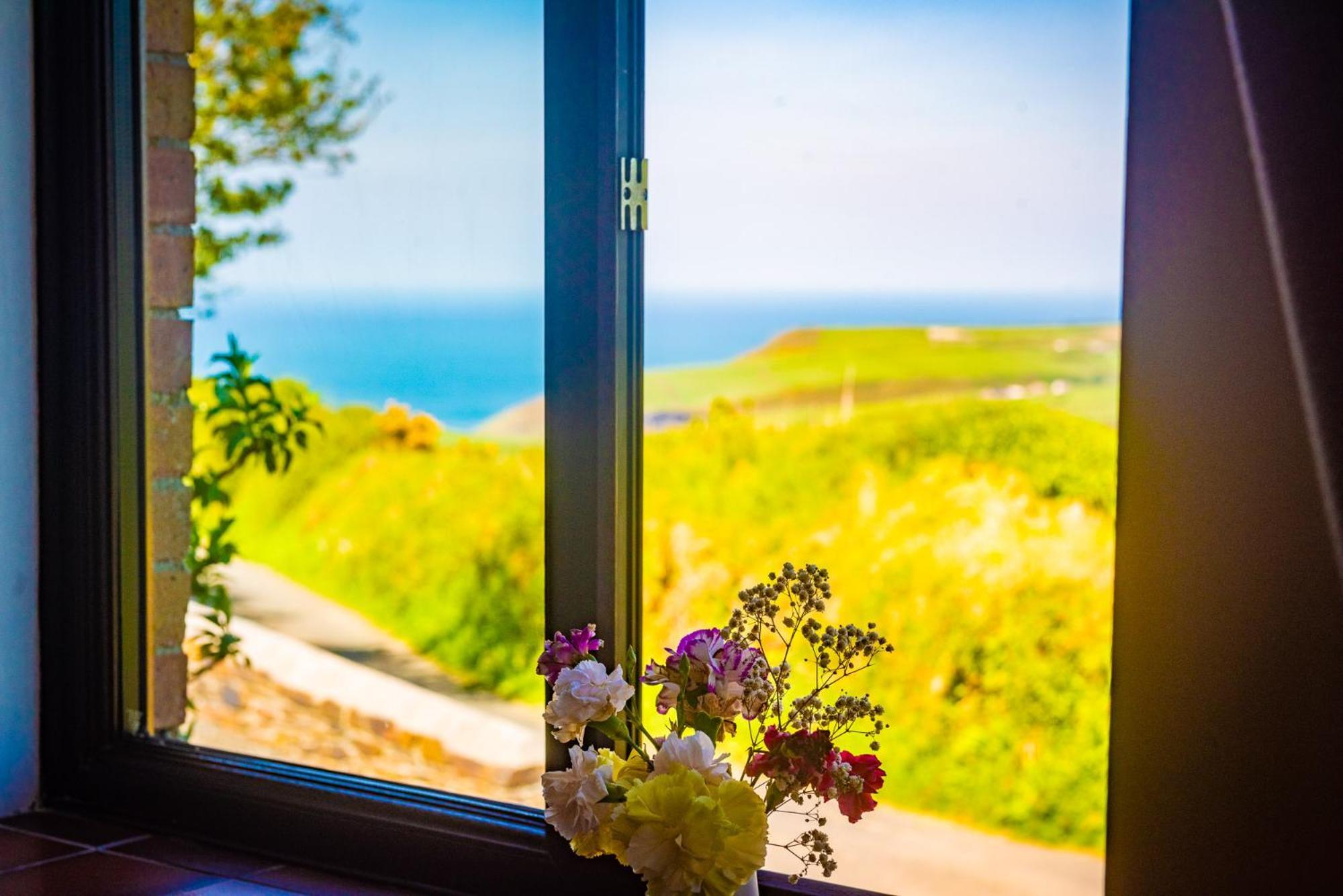 Polrunny Farm Elderberry Cottage With Sea View Boscastle Dış mekan fotoğraf