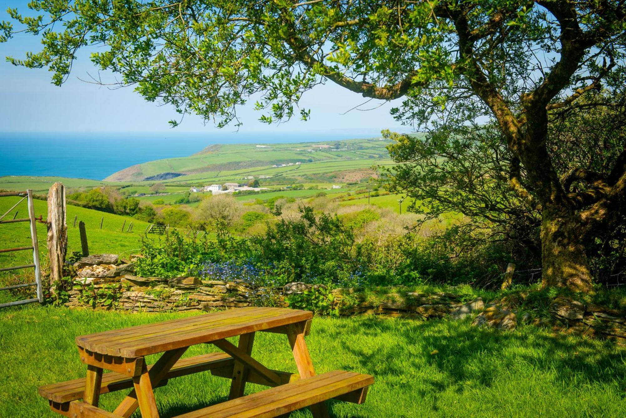 Polrunny Farm Elderberry Cottage With Sea View Boscastle Dış mekan fotoğraf